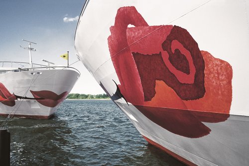 Nahaufnahme eines Flusskreuzfahrtschiffs der A-ROSA Flotte mit markanter Rose auf dem Bug im Vordergrund. Gegenüber steht ein zweites A-ROSA Schiff mit Blick auf den Bug.