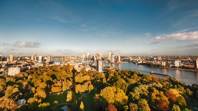 Panoramaansicht von Rotterdam mit modernen Hochhäusern unter klaem Himmel, einem Park im Vordergrund und dem Fluss mit einem Schiff.