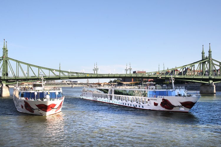Zwei Schiffe der A-ROSA Flotte fahren unter einer grünen Stahlbrücke auf einem Fluss